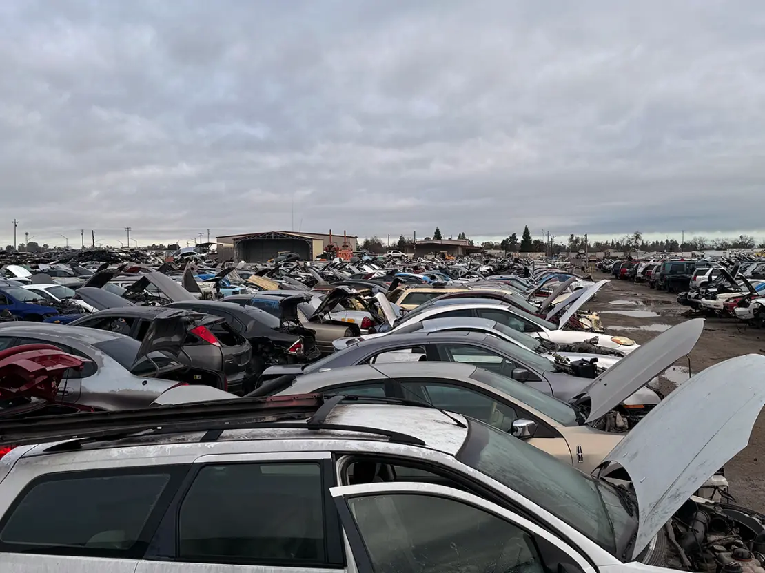 Rows of salvage vehicles at Pioneer Motors - Salvage & Parts