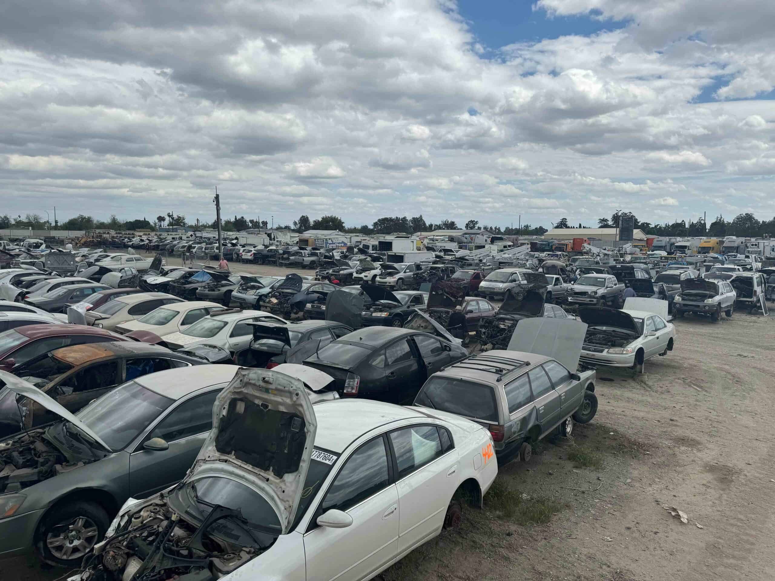 Pick-a-part auto yard at Pioneer Motors - Salvage & Parts